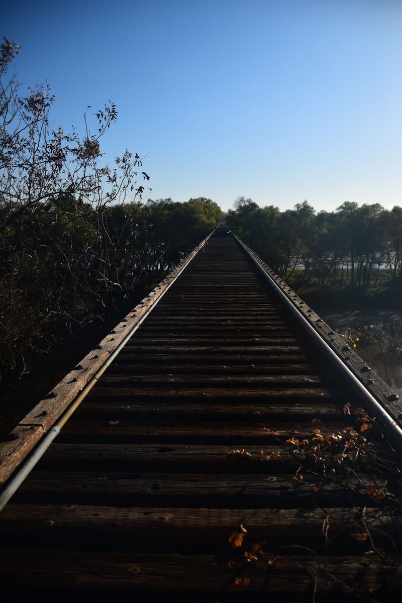 Rails Turned Into Pavement: The MKT Story