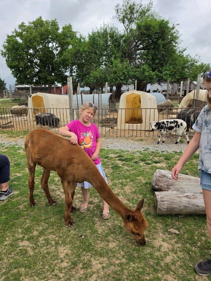 Rainbow Ranch Petting Zoo and Exotic Animal Farm, Nashville, Illinois Rainbow Ranch Petting Zoo and Exotic Animal Farm, Nashville, Illinois