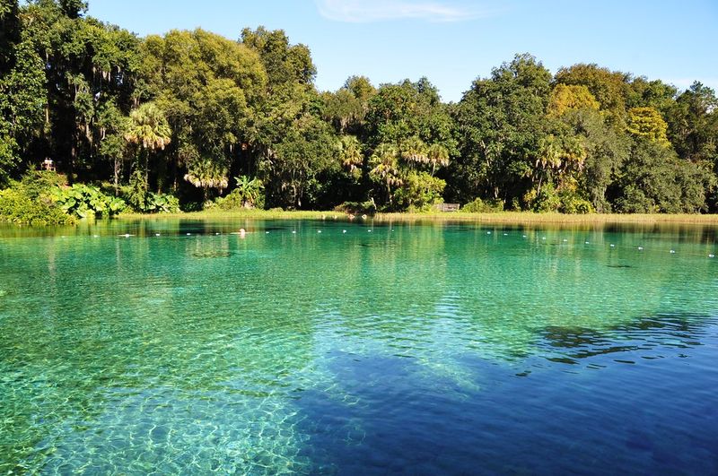 Rainbow Springs, Florida