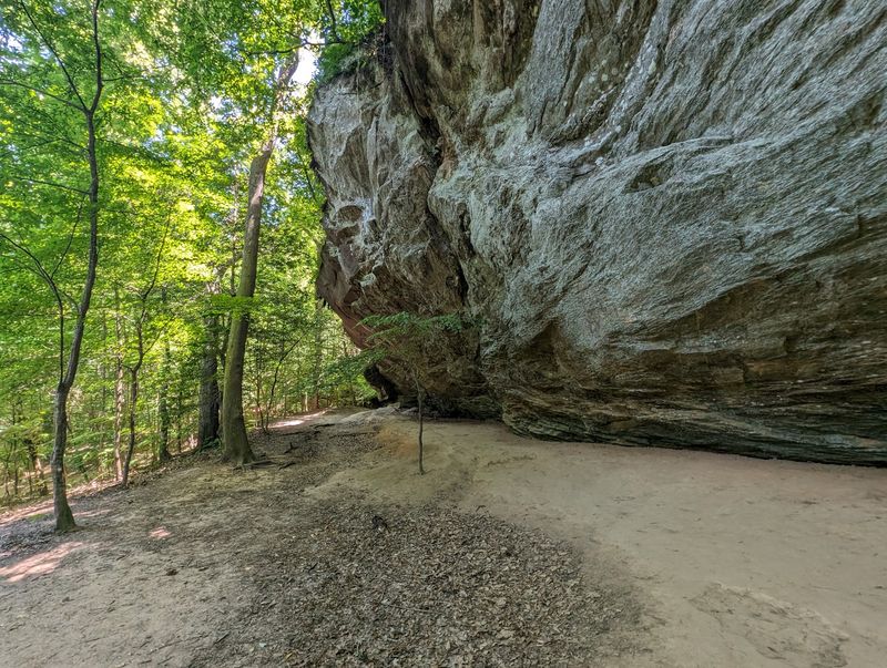 Raven Rock State Park, Lillington, NC Raven Rock State Park, Lillington, NC