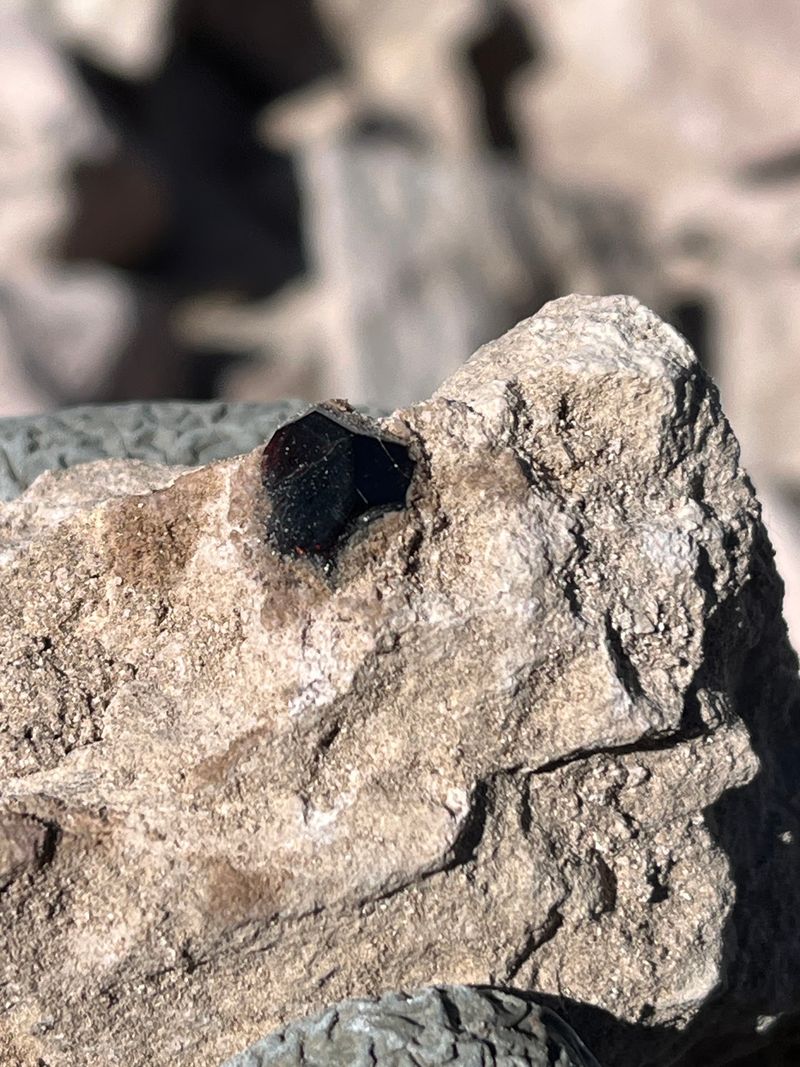Reading the Rocks