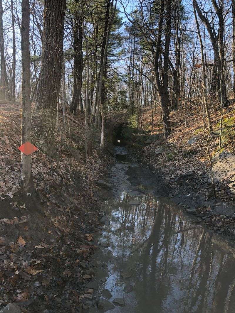 Reading the Trail Colors