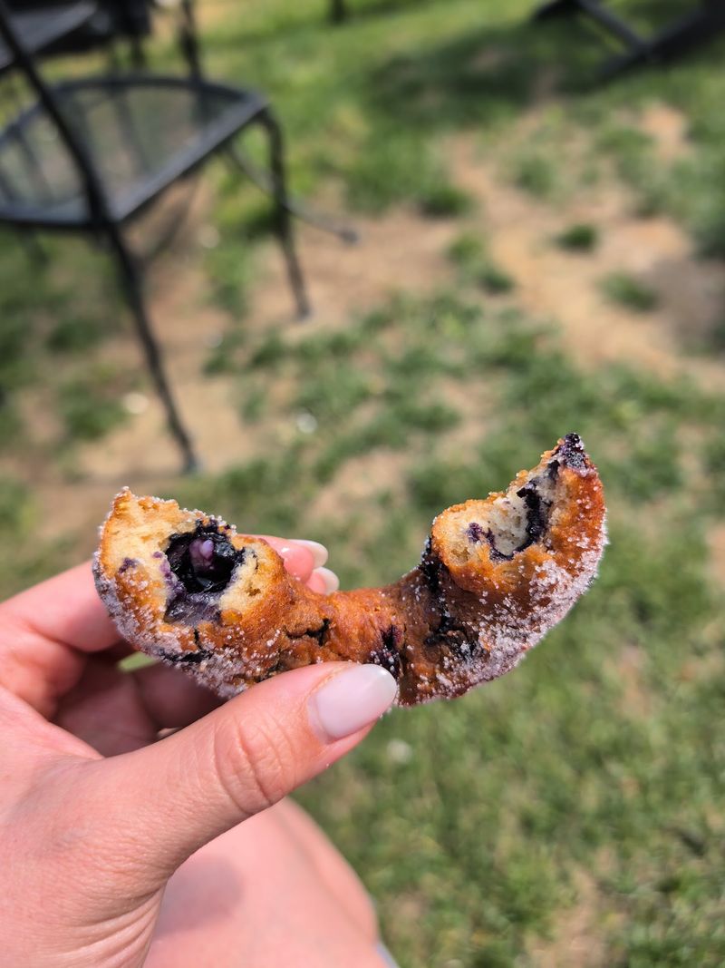Real Blueberries That Steal the Whole Show Real Blueberries That Steal the Whole Show