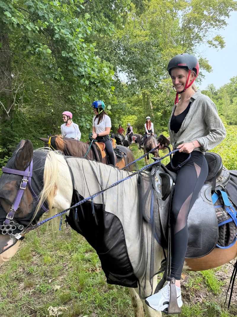 Rescue Horses With Second-Chance Stories