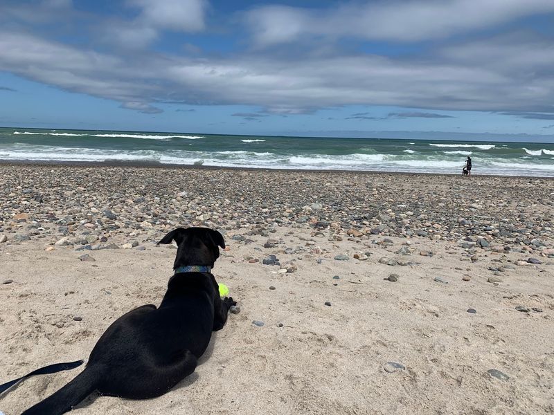 Rexhame Beach Rexhame Beach