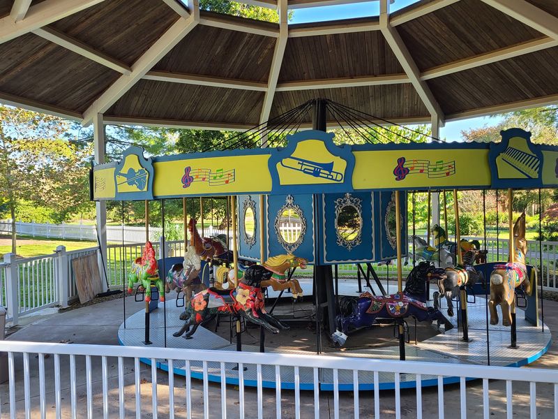 Ride The Free Carousel If The Timing Works Ride The Free Carousel If The Timing Works