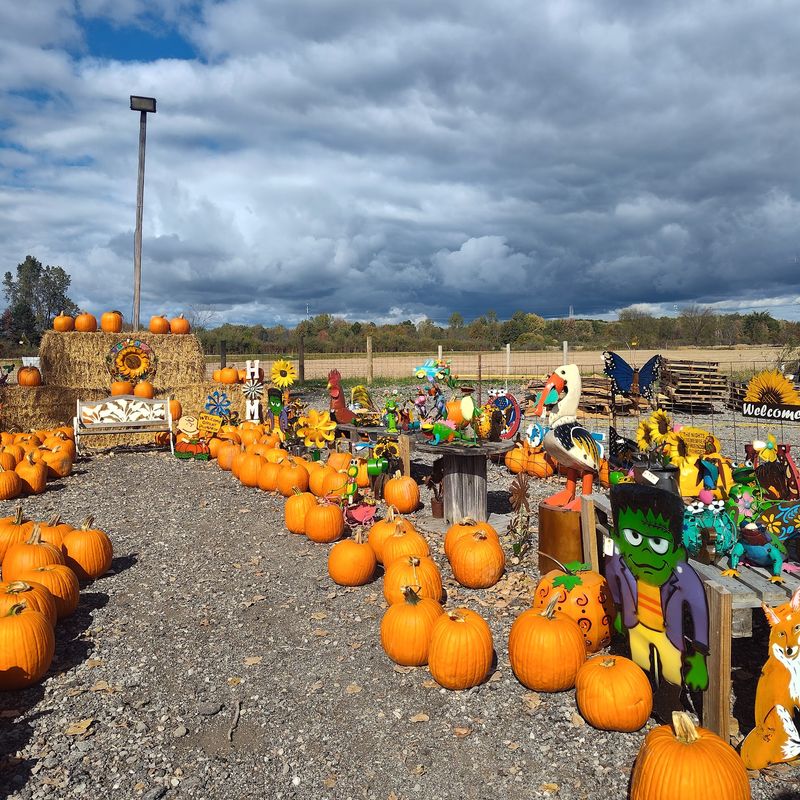 Riding Out to Pick the Perfect Pumpkin Riding Out to Pick the Perfect Pumpkin
