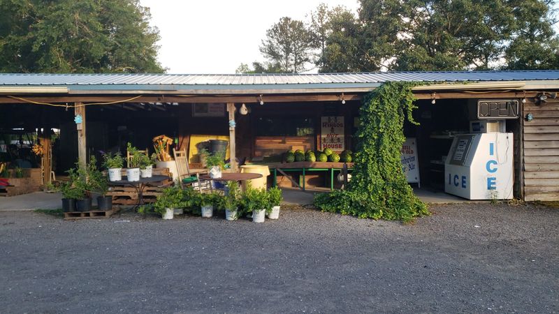 Ringo's Produce Plants and Boiled Peanuts, Eastover, SC