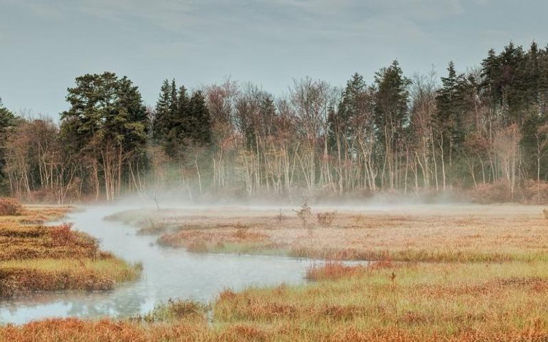 Rivers and Wetlands in the Wider Landscape