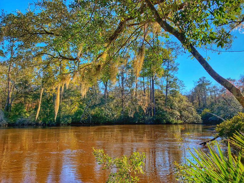 Riverside Nature and Wildlife Sightings