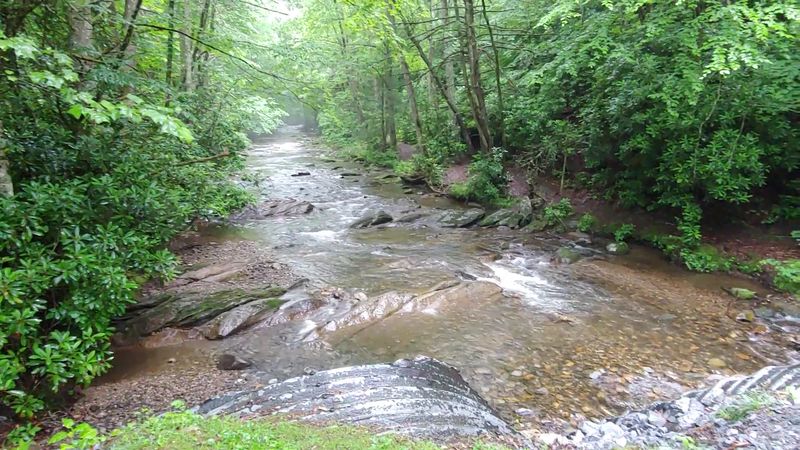 Roan Mountain State Park, Roan Mountain, TN Roan Mountain State Park, Roan Mountain, TN