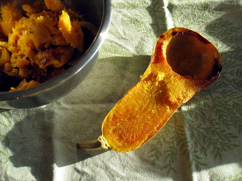 Roasted Butternut Squash Roasted Butternut Squash