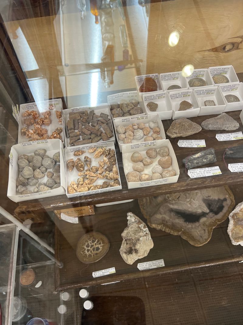 Rocks, Fossils, and a Nod to Lake Superior