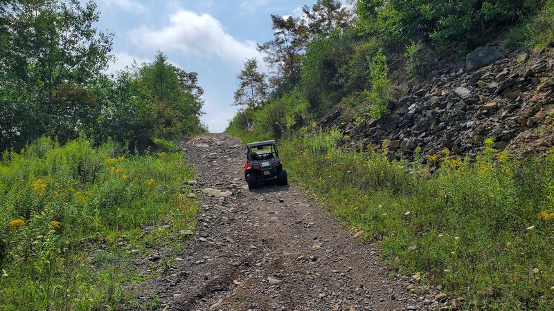 Rocks, Puddles, and Bobsled Curves