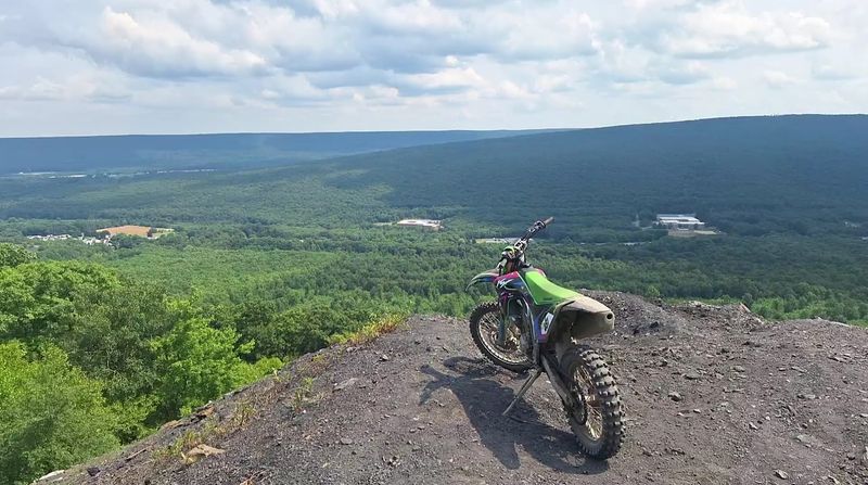 Rocks, Roots, and Plenty of Bounce