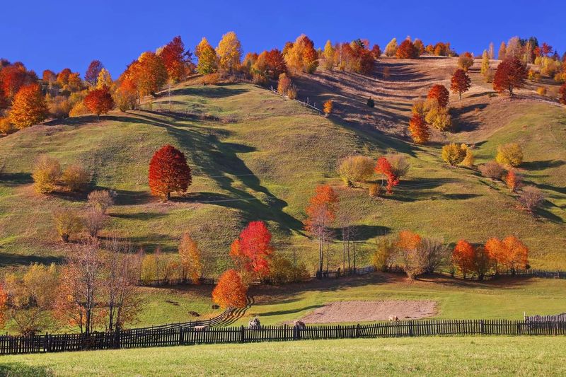 Romania: Transylvania and the Carpathians