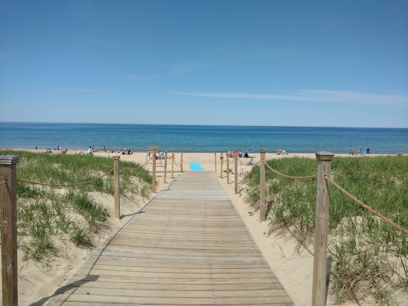 Room to Roam on the Sand Room to Roam on the Sand