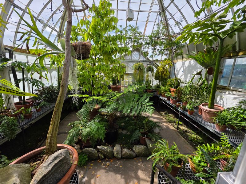 Room to Slow Down