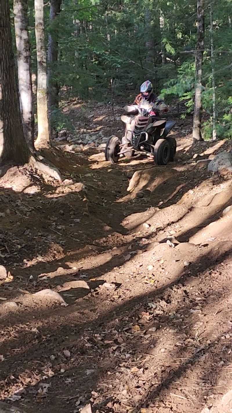 Roots, Rocks, and One Famous Hill