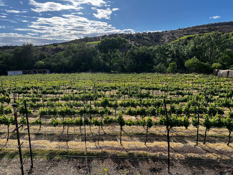 Roots of a Family Estate