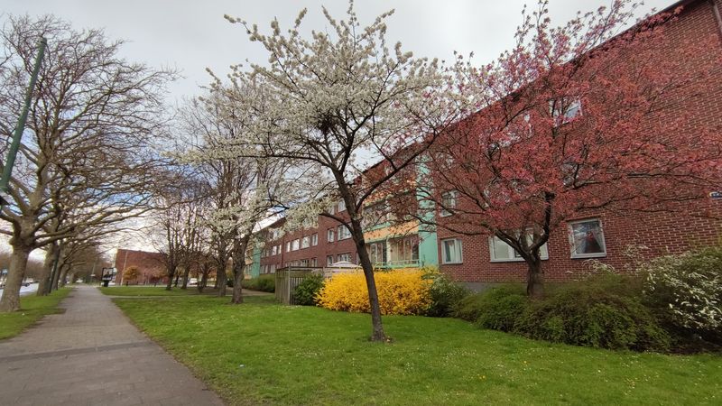 Rosengård, Malmö, Sweden