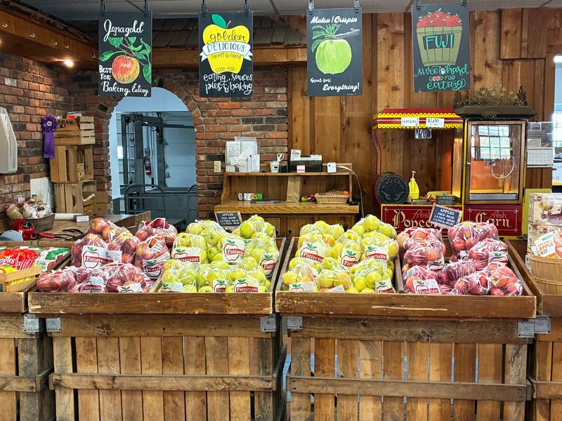 Rows of Apples and the Joy of Picking Your Own