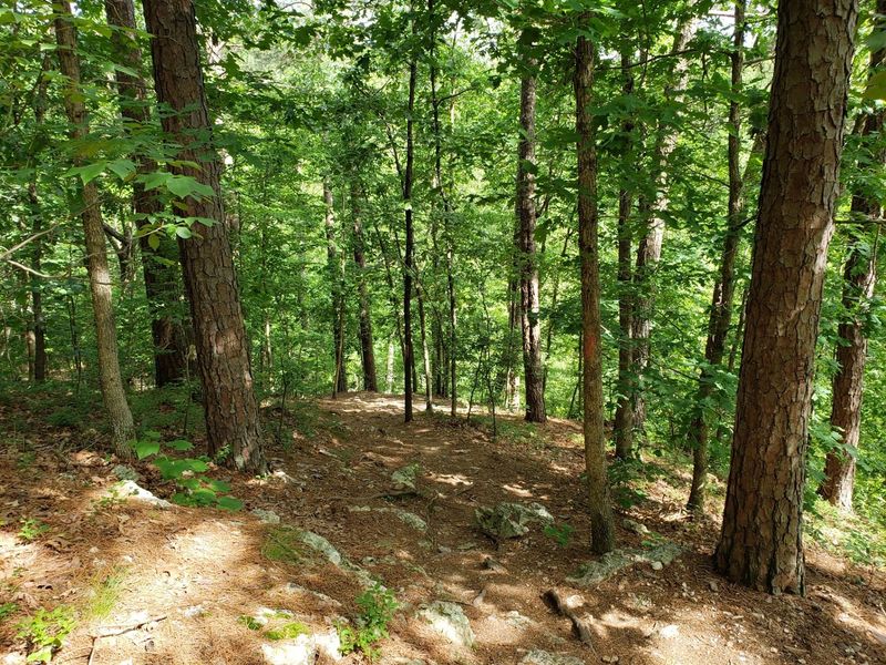 Rugged Side Trails for Curious Hikers Rugged Side Trails for Curious Hikers
