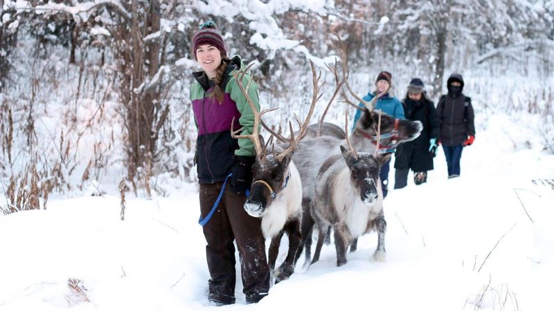 Running Reindeer Ranch Running Reindeer Ranch