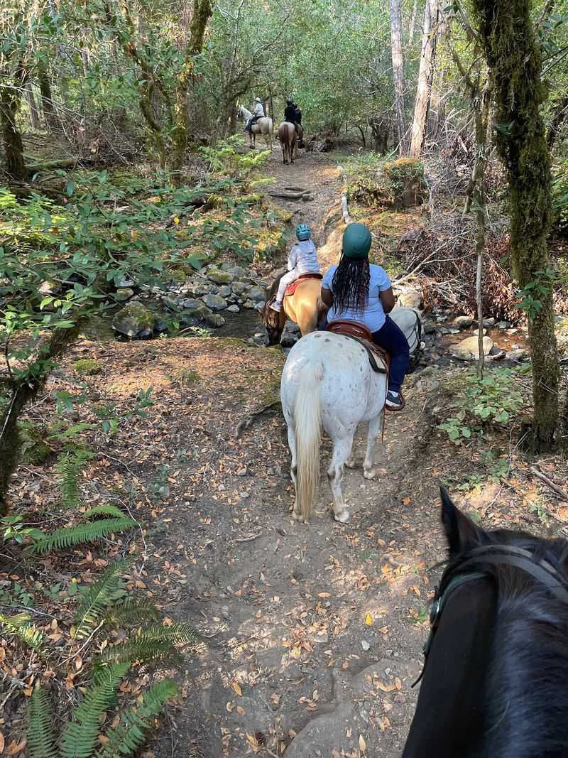 Saddle Up for a Trail Ride
