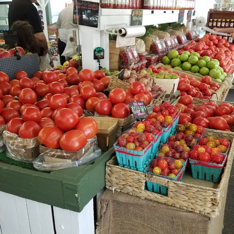Samaha's Farm, Matawan, NJ