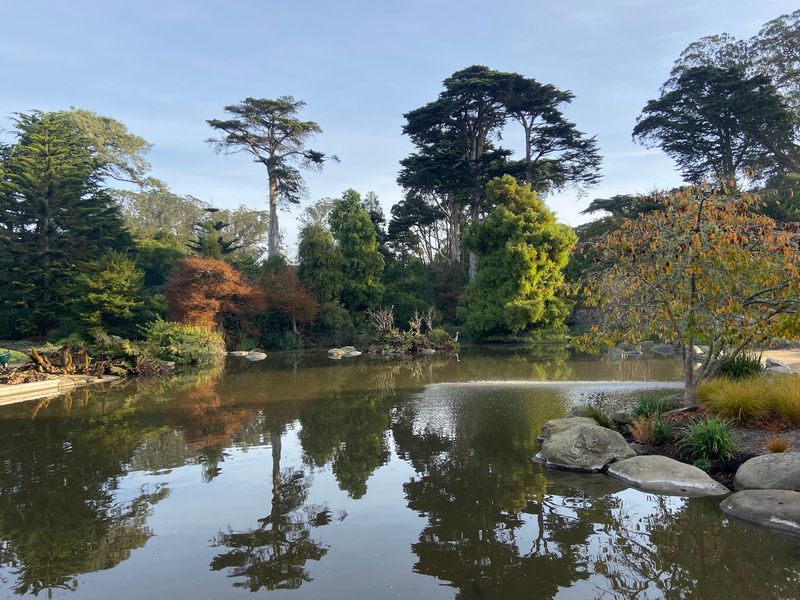 San Francisco Botanical Garden, San Francisco, California