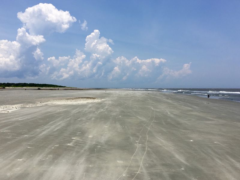 Sand Dollars, Shells, and Miles of Empty Shoreline
