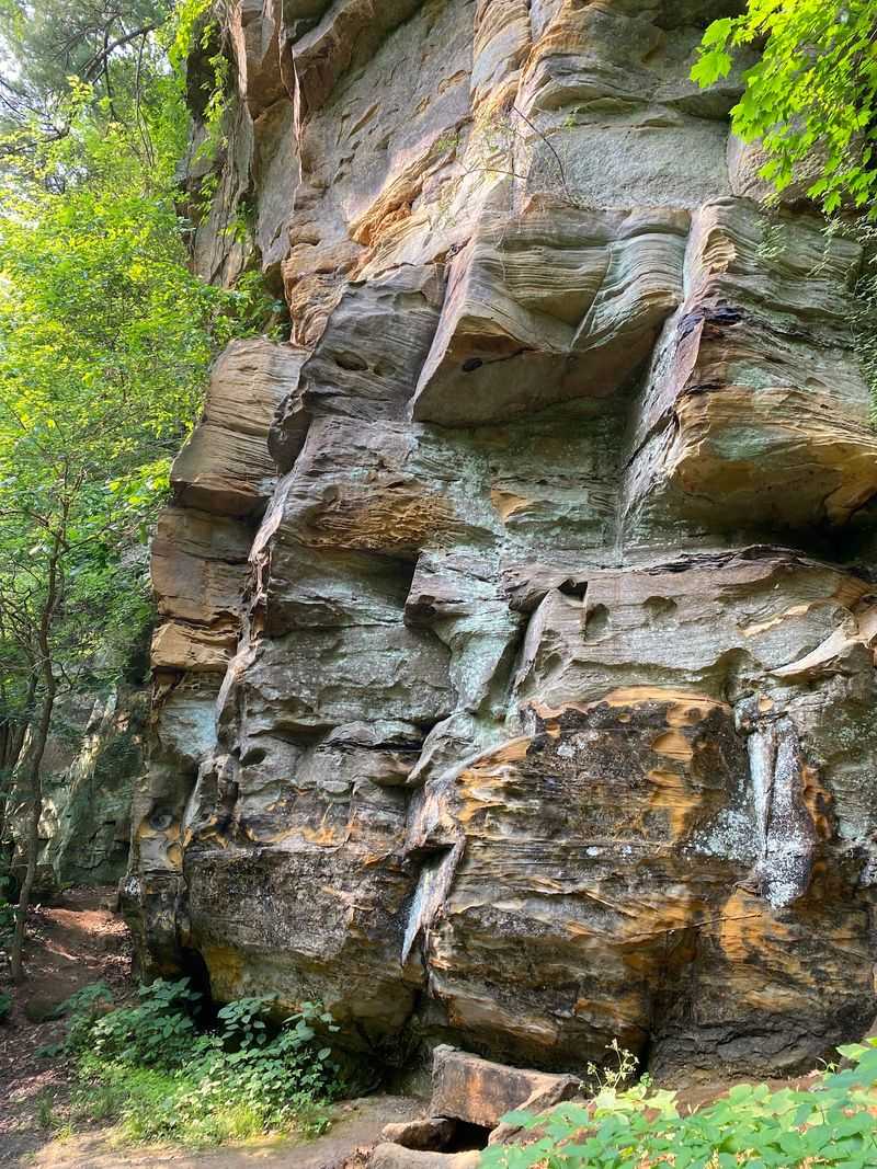 Sandstone Cliffs That Surprise Visitors