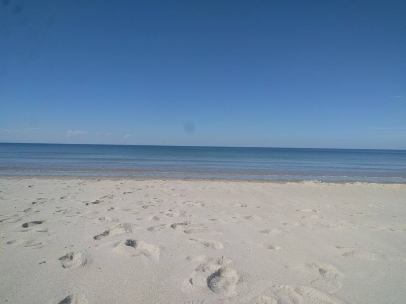 Sandy Neck Beach Sandy Neck Beach