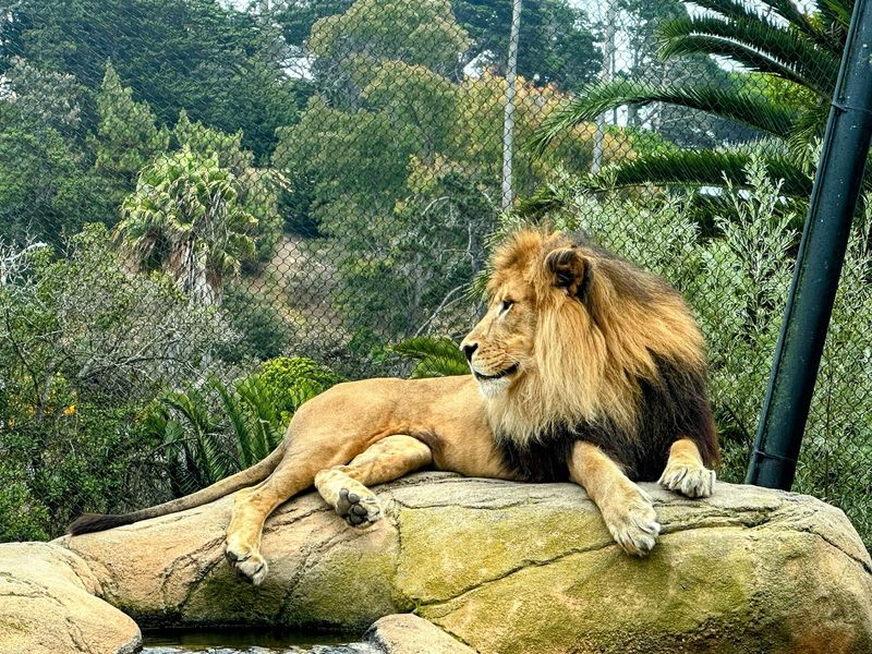 Santa Barbara Zoo, Santa Barbara, California Santa Barbara Zoo, Santa Barbara, California