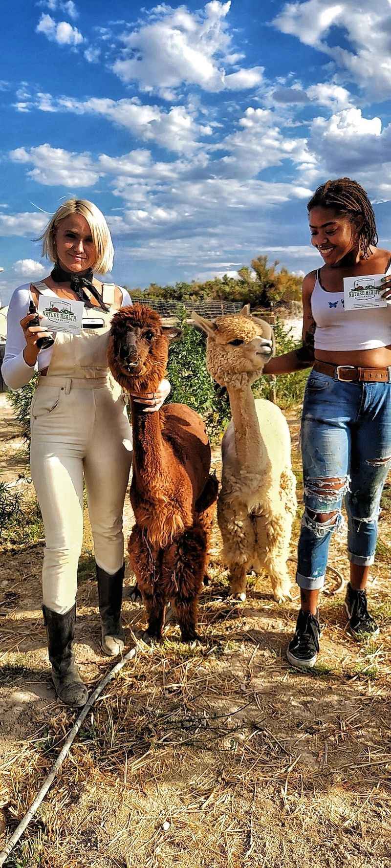 Say I Do With Alpacas Nearby
