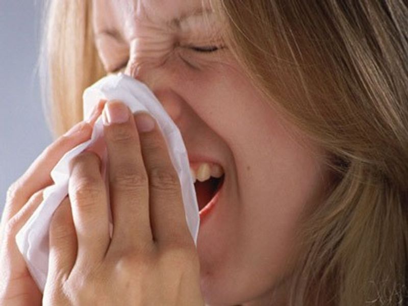 Saying “Bless You” After a Sneeze Saying “Bless You” After a Sneeze