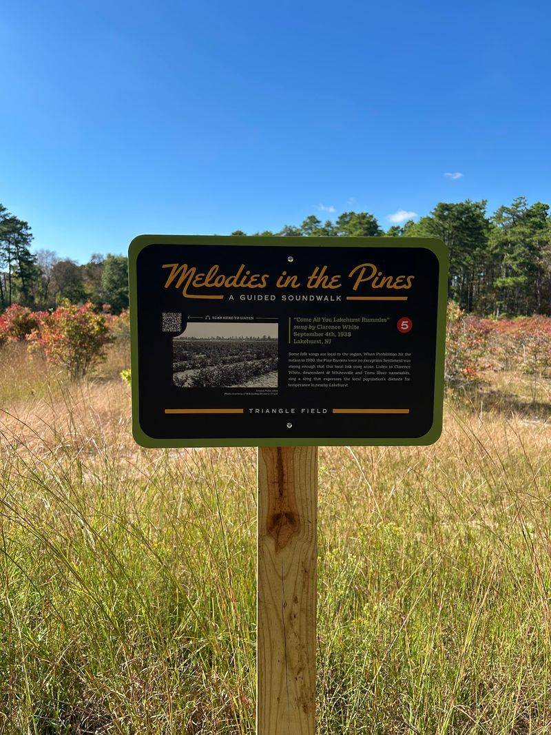 Scan a Sign, Hear the Forest Sing Scan a Sign, Hear the Forest Sing