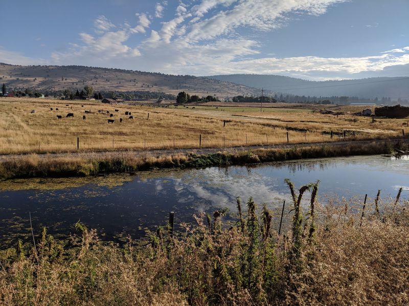 Scenic Overlooks and Wildlife Sightings