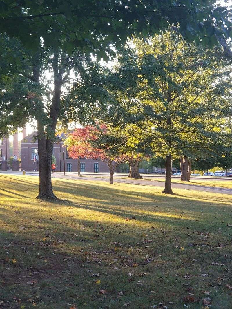 Scholarships That Change the Math