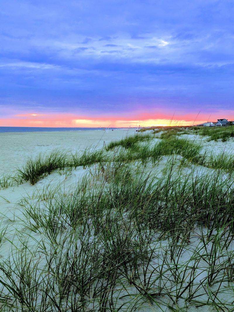 Sea Turtle Nesting Grounds Sea Turtle Nesting Grounds