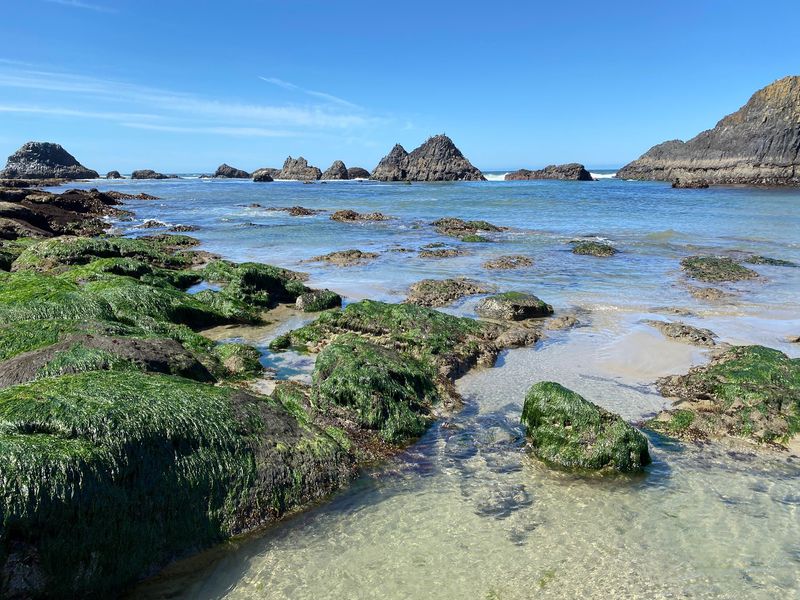 Seal Rock State Recreation Site, Seal Rock, OR Seal Rock State Recreation Site, Seal Rock, OR