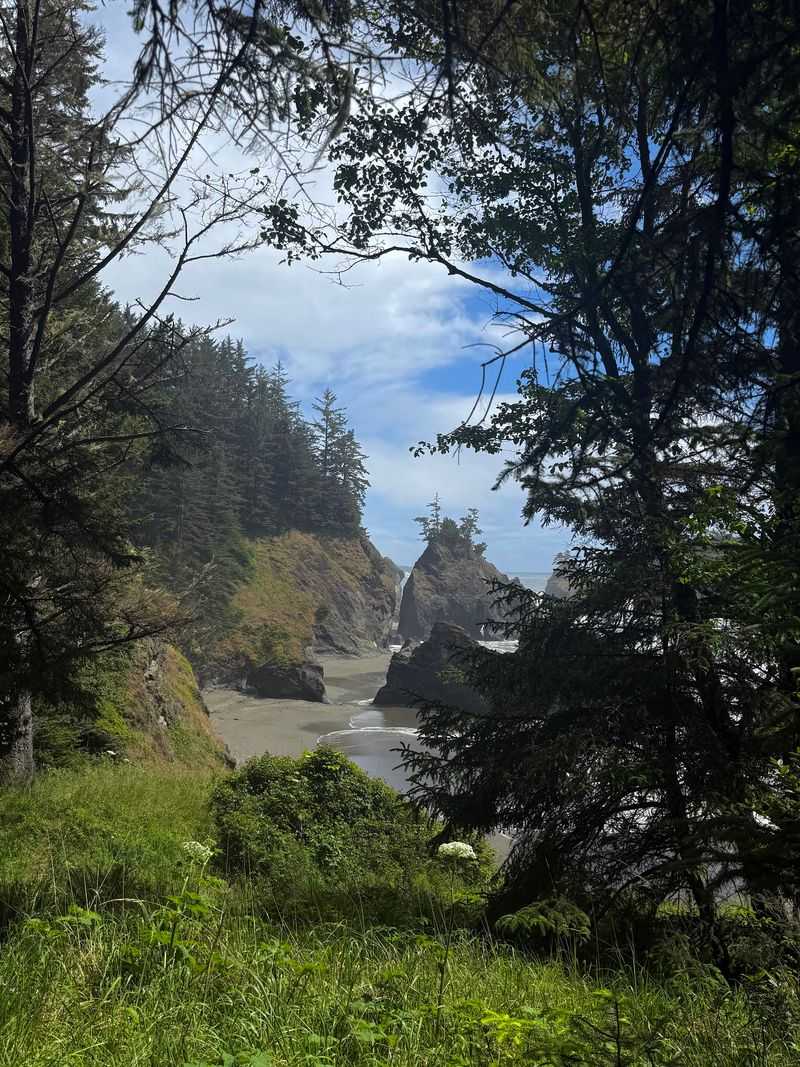 Seals, Otters, and Other Neighbors