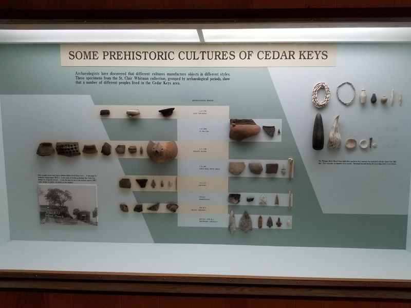 Seashells and Native American Artifacts Worth a Slow Look Seashells and Native American Artifacts Worth a Slow Look