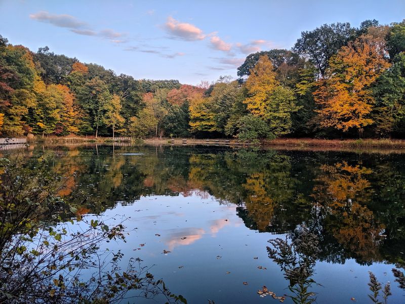 Seasons Change The Way A Walk Feels Seasons Change The Way A Walk Feels