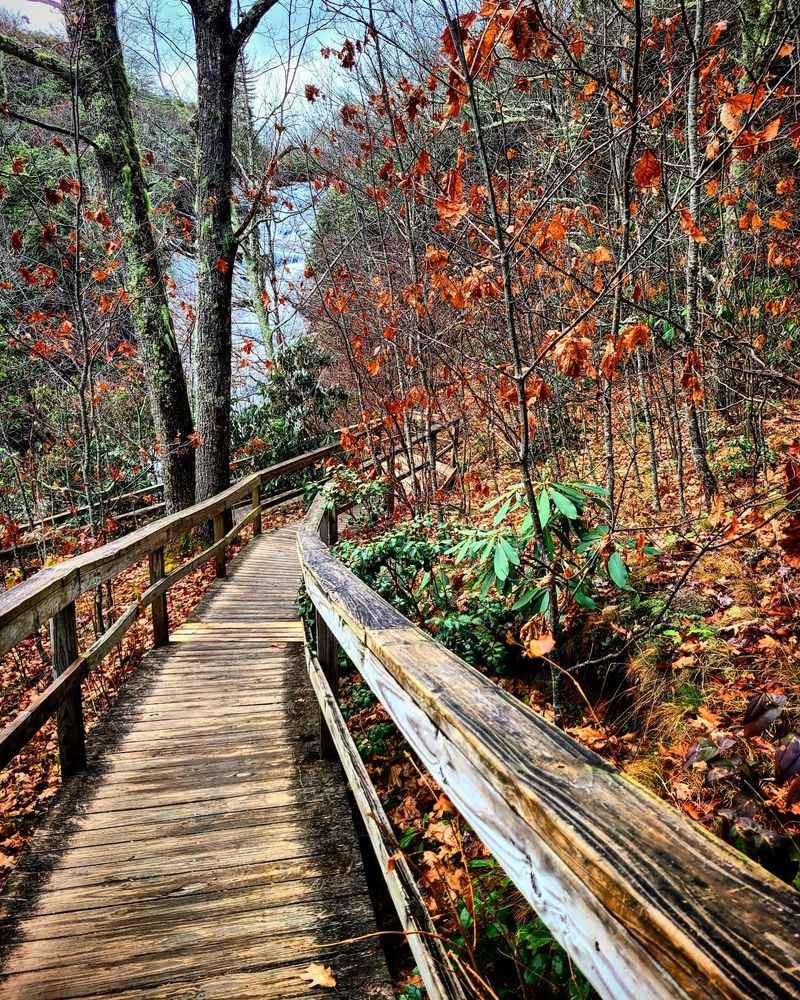 Second Falls and Its Wooden Staircase
