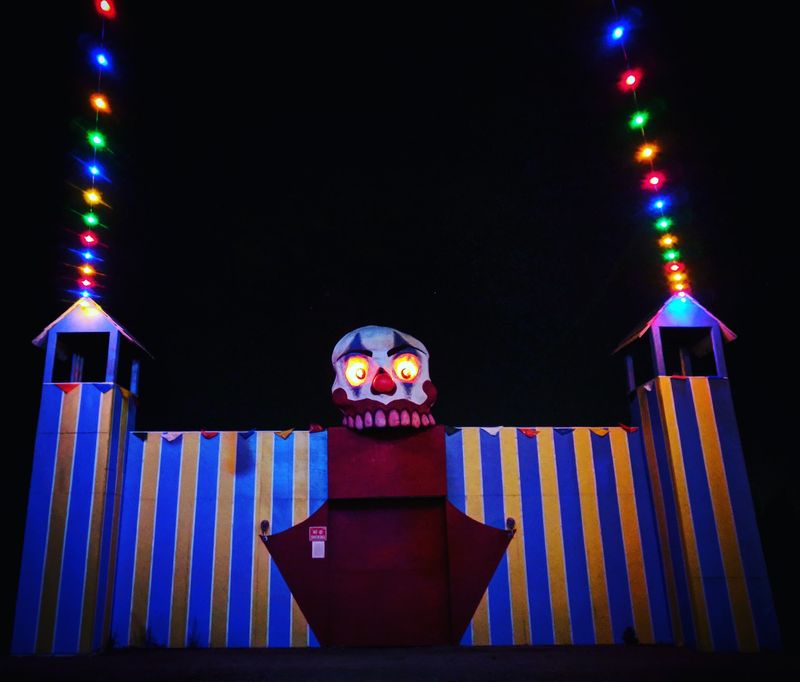 Seeing Double in the 3D Clown House Seeing Double in the 3D Clown House