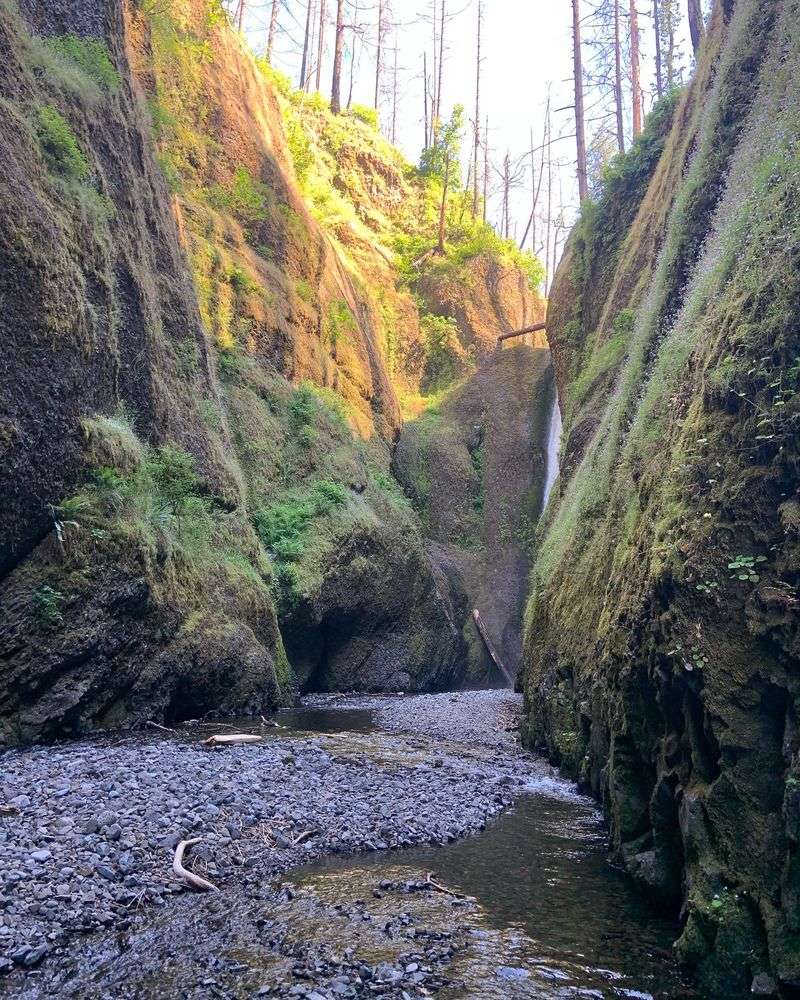 Seeing the Gorge From Above
