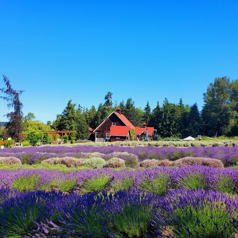 Sequim, Washington Sequim, Washington