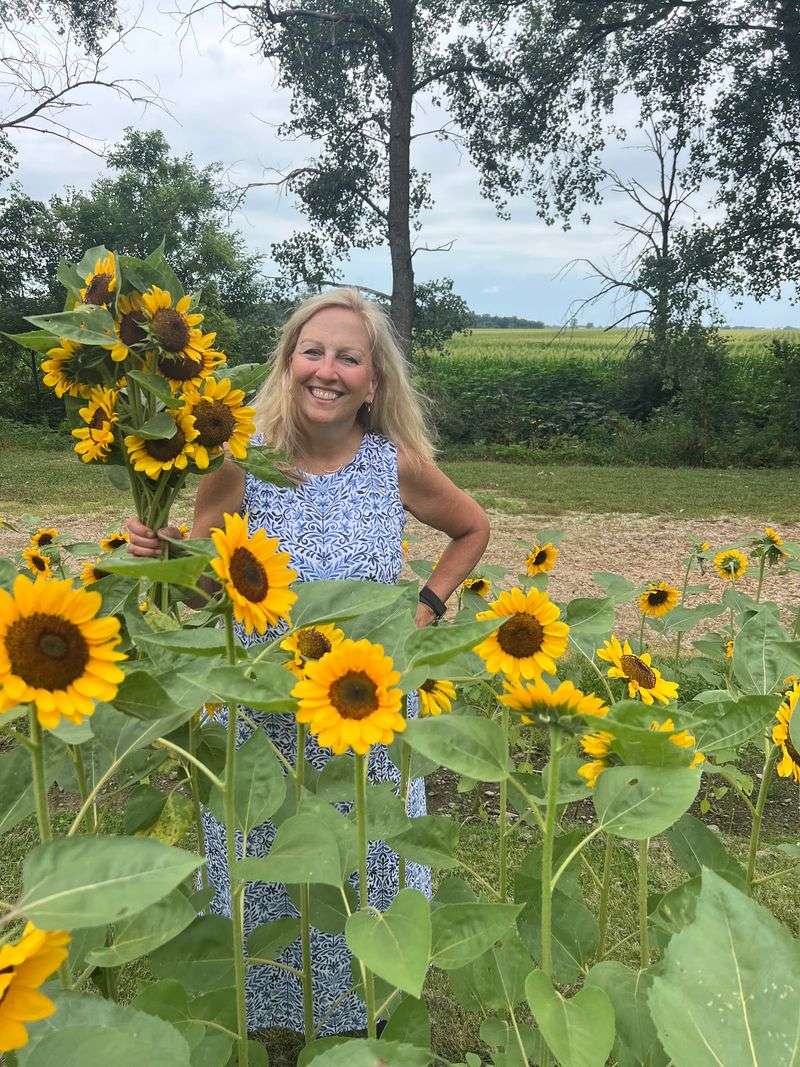 Serenity Hill Flower Farm, Harvard, IL
